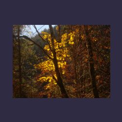 2012-10-20_Fall_AQUILA (036).JPG